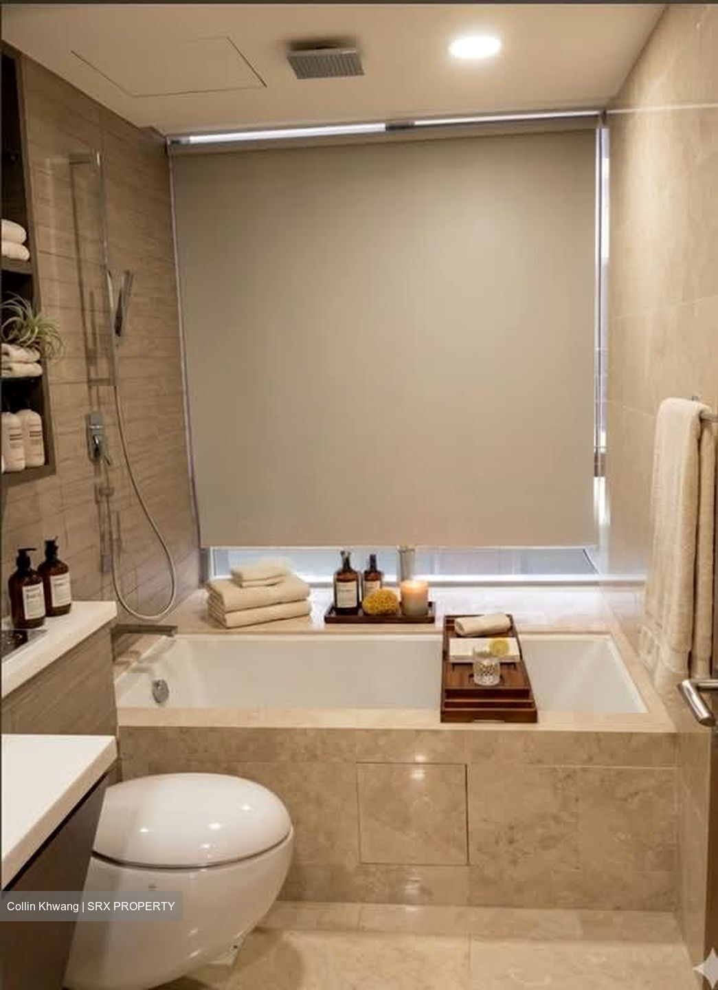V On Shenton (D1), Apartment #567094341